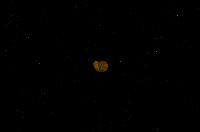 藏品(微小螺)的圖片